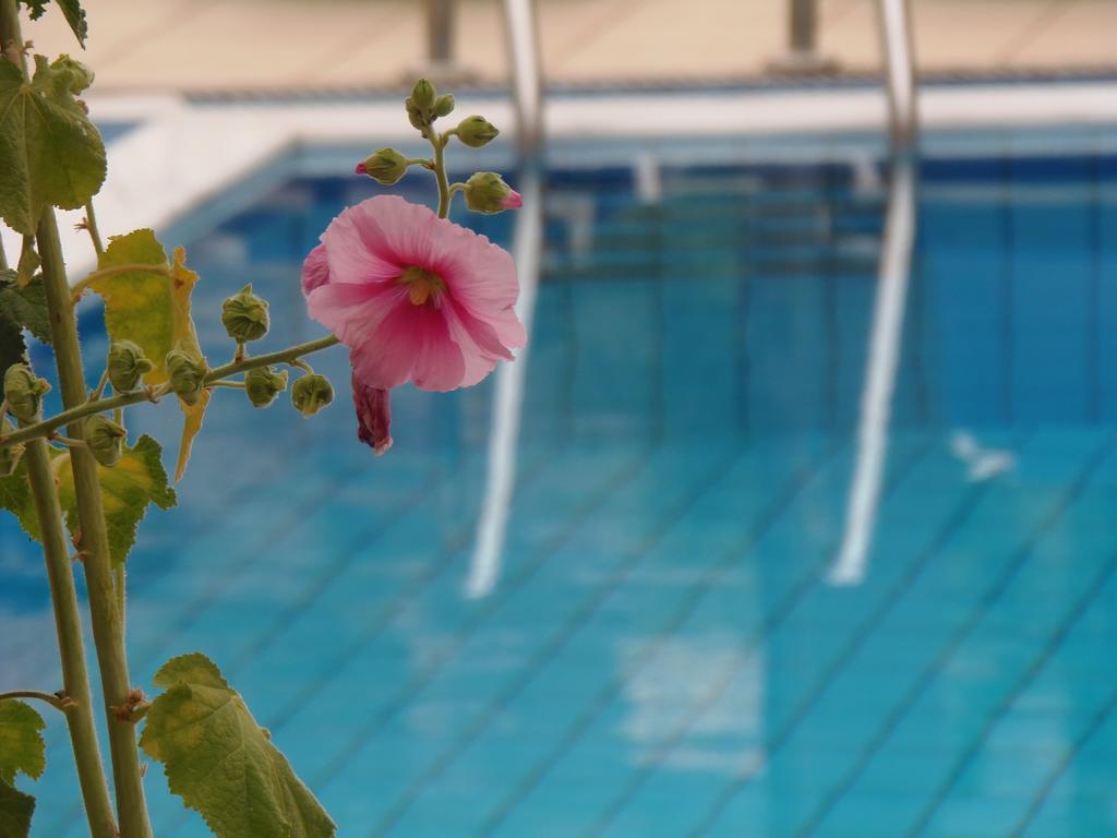Emerald Hotel Малиа Экстерьер фото
